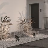 Фото O025FL-01B - 16