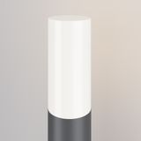 Фото O418FL-01GR1 - 8