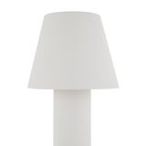 Фото O421FL-L5W - 3