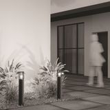 Фото O453FL-01GF - 15