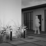 Фото O453FL-01GF - 5