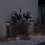 Фото O463FL-L7GF3K - 3