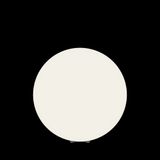 Фото O594FL-01W1 - 10