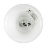 Фото FR2009PL-07G - 9