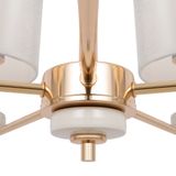 Фото FR5015PL-05G - 4