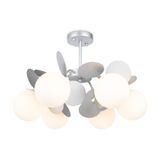 Фото FR5165PL-06S - 1