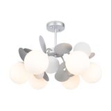 Фото FR5165PL-06S - 2