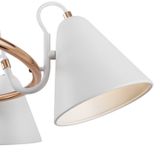 Фото FR8001PL-05WG - 7