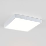 Фото DLS034 24W 4200K - 1