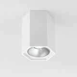 Фото 25036/LED - 1