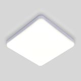 Фото DLS043 - 1