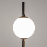 Фото Z020FL-L12BK - 4