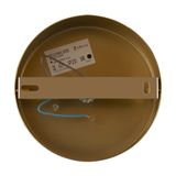 Фото FR5124WL-01BS - 7