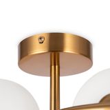 Фото FR5124WL-02BS - 11