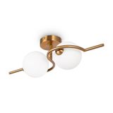 Фото FR5124WL-02BS - 9