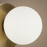 Фото FR5125WL-01BS - 10