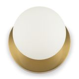 Фото FR5125WL-01BS - 8