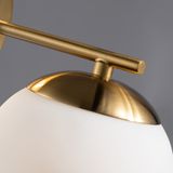 Фото FR5230WL-01BS - 10