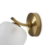 Фото FR5444WL-01BS - 5