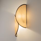 Фото MOD225WL-02B2 - 5