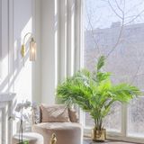 Фото MOD302WL-01CG - 3