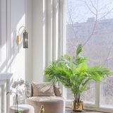 Фото MOD302WL-01GR - 3