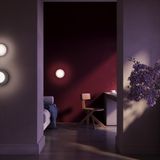 Фото MOD403WL-01BG - 3