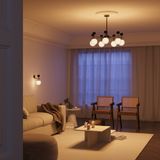 Фото MOD436WL-01BS - 2