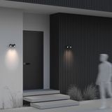 Фото O010WL-02B - 9