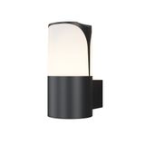 Фото O016WL-01B - 1