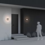 Фото O020WL-L10B4K - 5