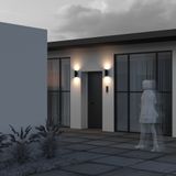 Фото O303WL-L24GF3K - 2