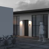 Фото O303WL-L5W3K - 2