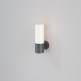 Фото O418WL-01GR - 1