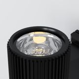 Фото O419WL-01B - 8