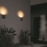 Фото O419WL-01GR - 15