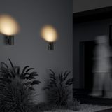 Фото O419WL-01GR - 6