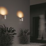 Фото O419WL-01W - 16