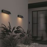 Фото O429WL-L10GF3K - 14