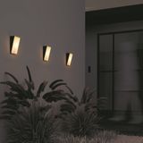 Фото O436WL-L10GF3K1 - 14