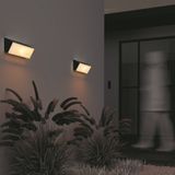 Фото O436WL-L20GF3K - 15