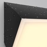 Фото O436WL-L20GF3K - 3