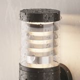 Фото O439WL-L12GF3K - 12