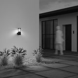 Фото O439WL-L12GF3K - 5