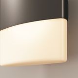 Фото O442WL-L12GF3K - 12