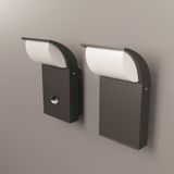 Фото O446WL-L7GF3KSR - 14