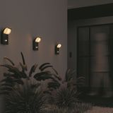 Фото O446WL-L7GF3KSR - 15