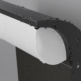 Фото O446WL-L7GF3KSR - 3