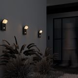 Фото O446WL-L7GF3KSR - 5