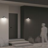 Фото O447WL-L7GF3K - 14